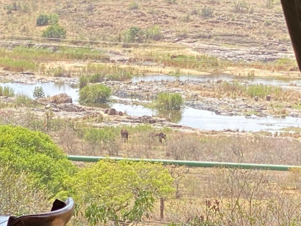 Croc River Lodge Komatipoort Zewnętrze zdjęcie
